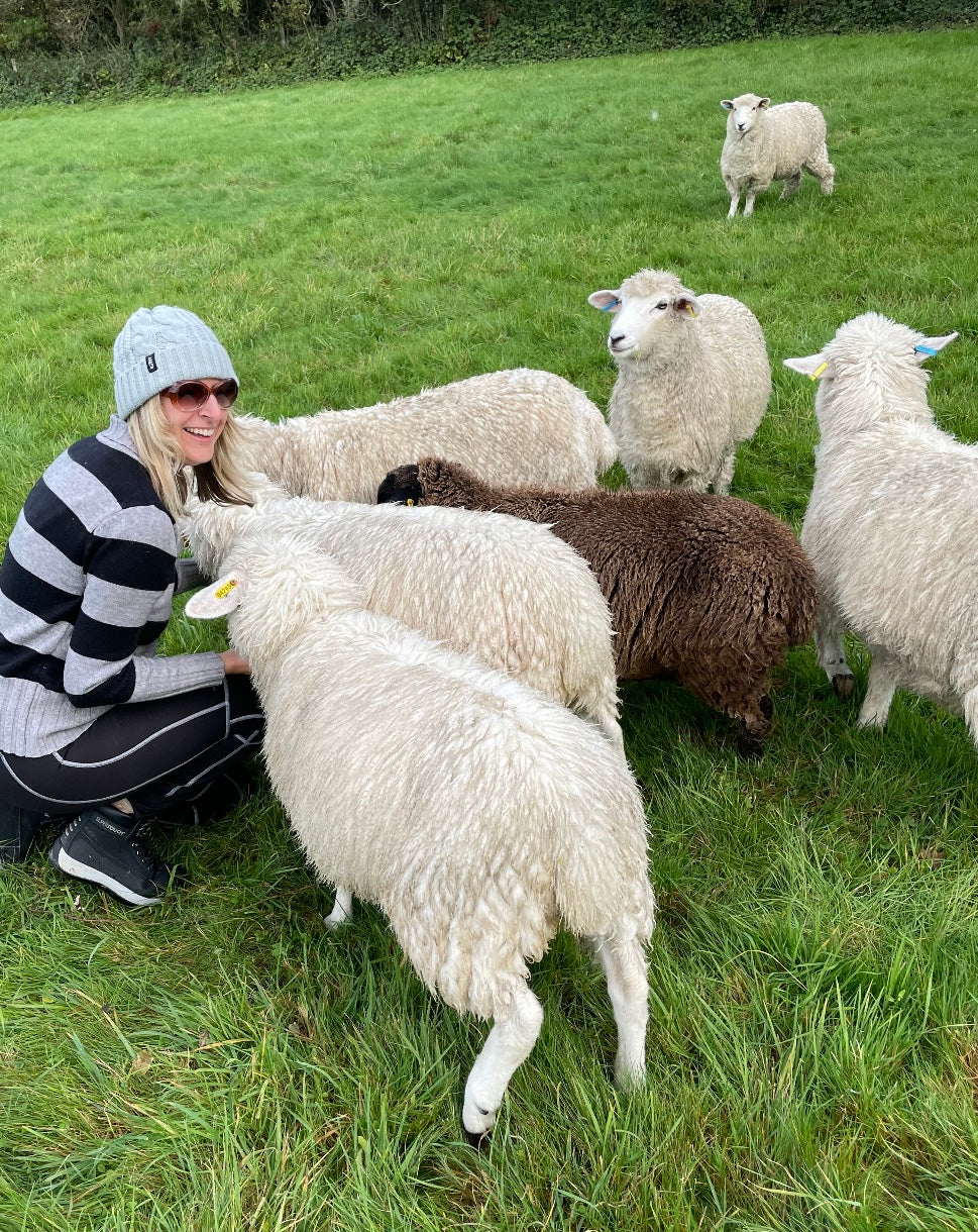 Poynings Flock Wool
