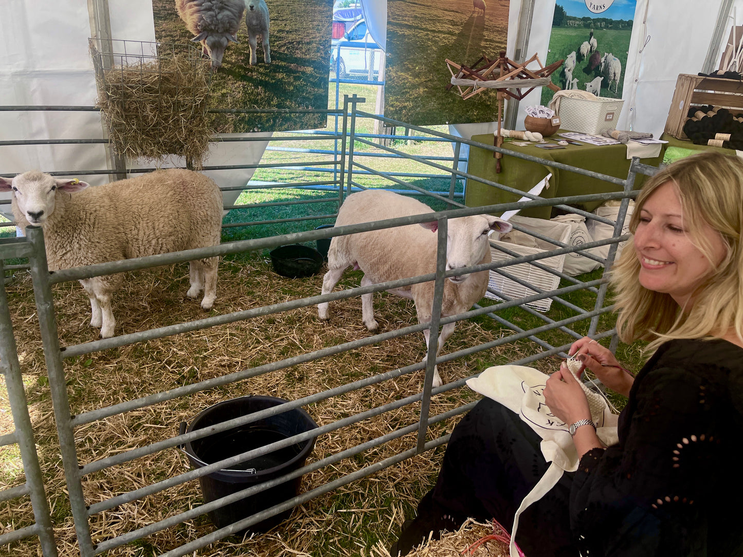 Poynings Flock Wool