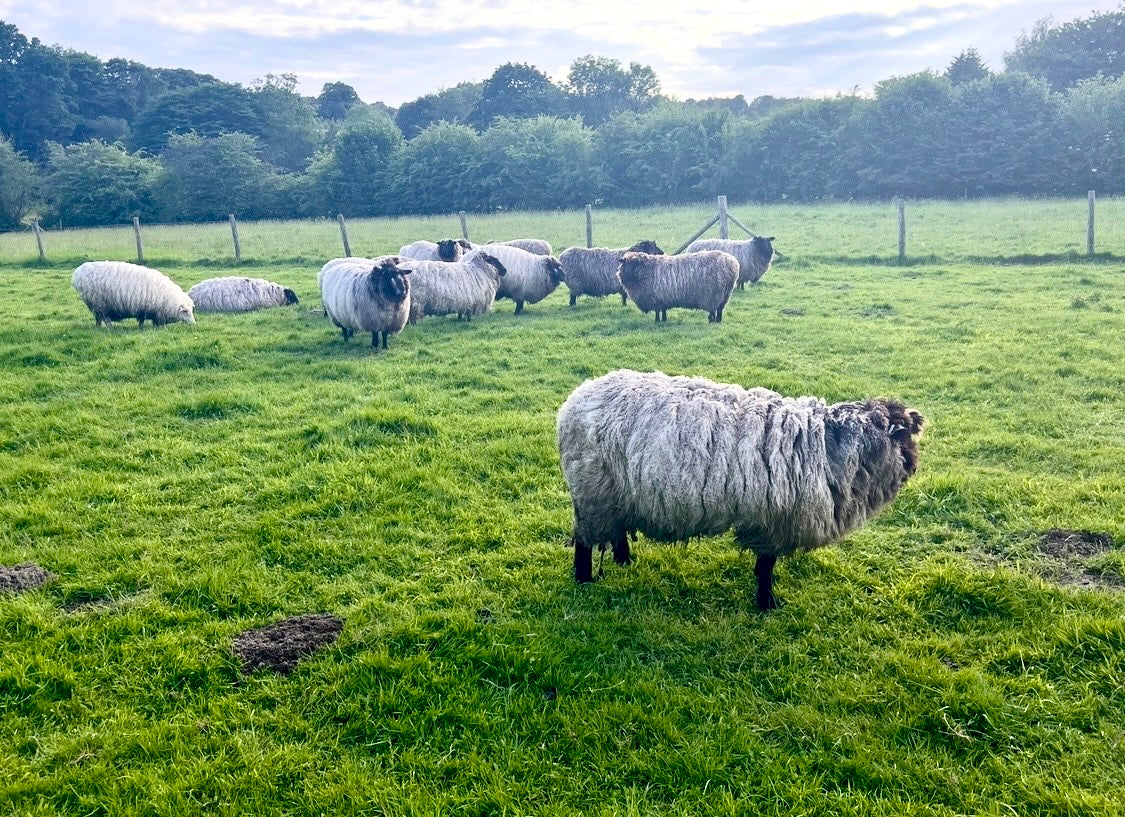 Diamond Flock Wool