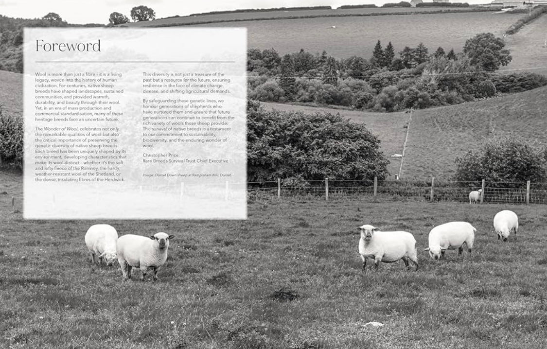 Wonder of Wool - A knitter's guide to pure breed sheep by Justine Lee and Jess Morency