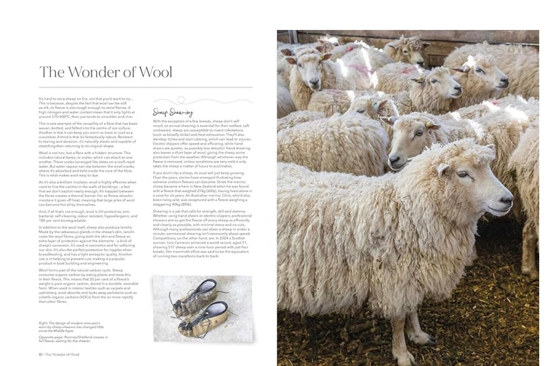 Wonder of Wool - A knitter's guide to pure breed sheep by Justine Lee and Jess Morency