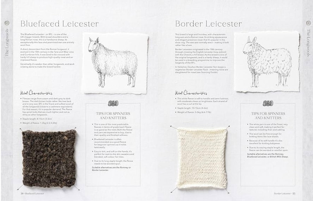 Wonder of Wool - A knitter's guide to pure breed sheep by Justine Lee and Jess Morency