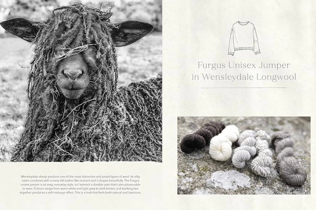 Wonder of Wool - A knitter's guide to pure breed sheep by Justine Lee and Jess Morency